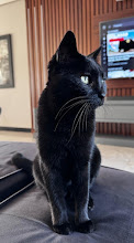 Gaia, Gato